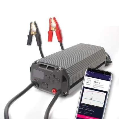 PROFESSIONAL BATTERY CHARGER | Ambient Garage